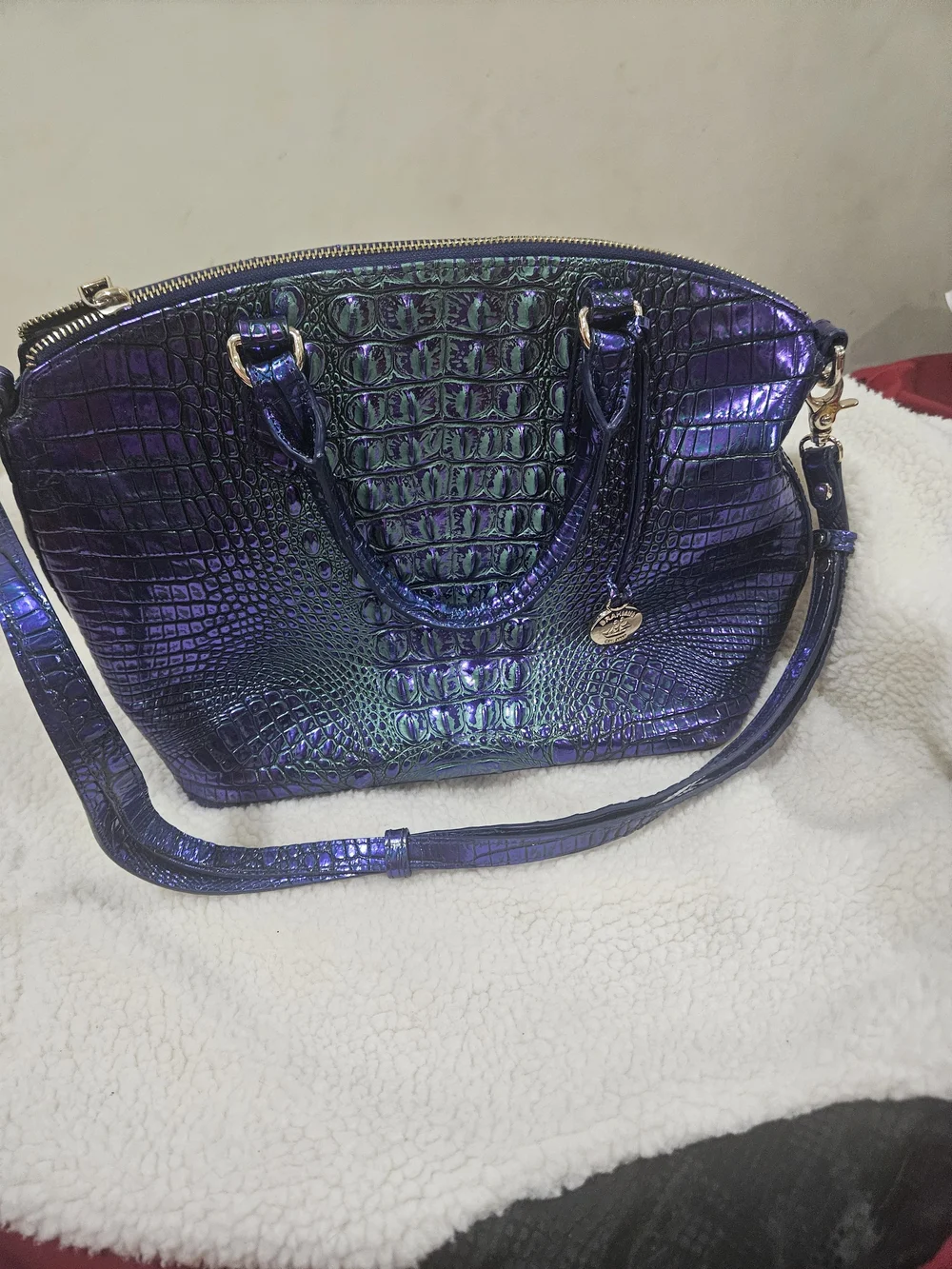 Brahmin stylish iridescent